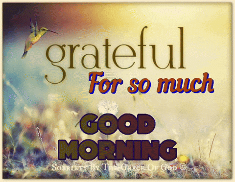 Hummingbird Grateful for Good Morning