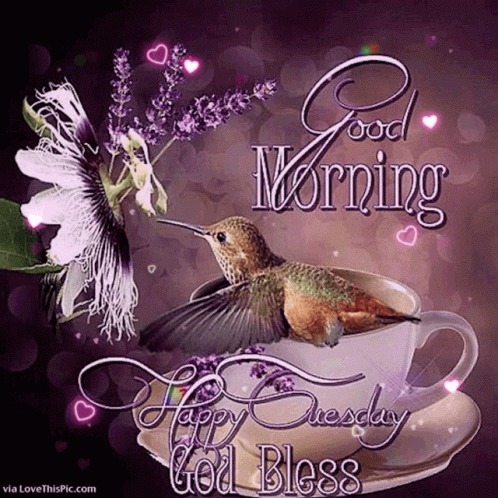 Hummingbird On Coffee Cup Good Morning Happy Tuesday God Bless GIF