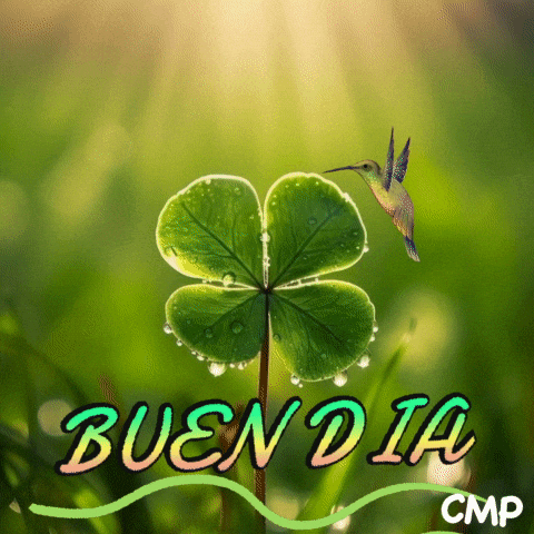 Hummingbird On Four Leaf Clover Bueno Dia GIF