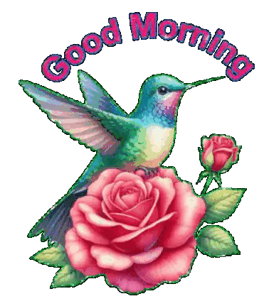 Hummingbird Sitting on Pink Rose
