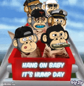 Hump Day Mma Gif GIF