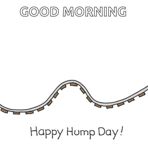Hump Day Wednesday Bunny Riding On Rollercoaster GIF