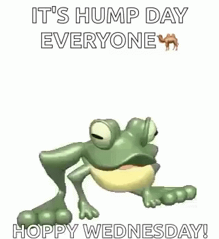 Hump Day Wednesday Happy Jumping Frog GIF