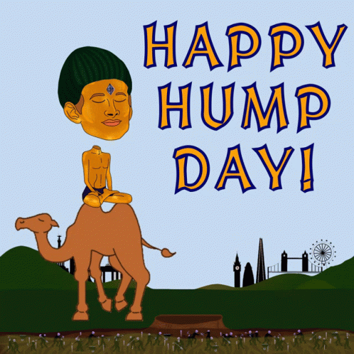 Hump Day Wednesday Meditation GIF