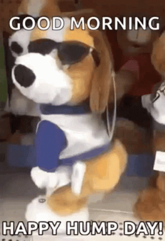 Hump Day Wednesday Stuffed Toy Twerk GIF