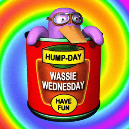 Hump Day Wednesday Violet Penguin GIF