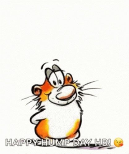 Hump Day Wednesday Wishful Cat GIF