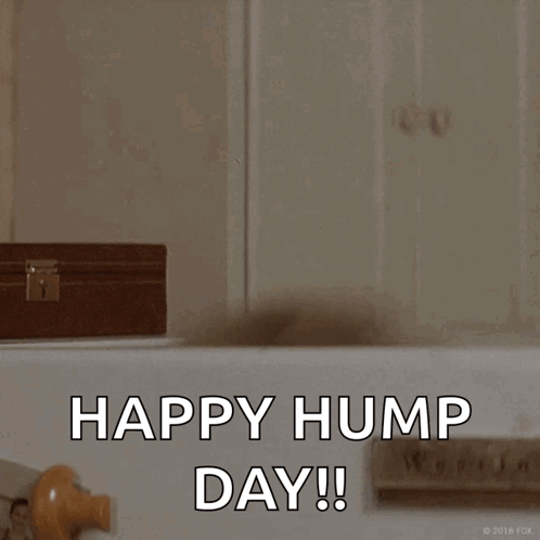 Hump Day Wednesday Woman With Facial Cream GIF