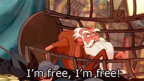 Hunchback Of Notre Dame Im Free In Trapped GIF