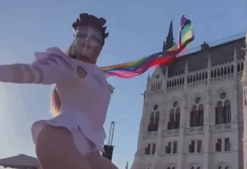 Hungary Drag Queen Lgbt Flag GIF