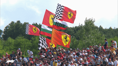 Hungary F1 Crowd GIF