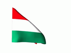 Hungary Flag Waving GIF