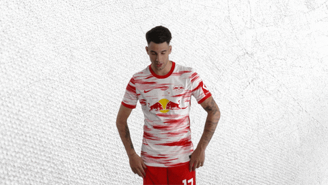 Hungary Football Dominik Come On GIF