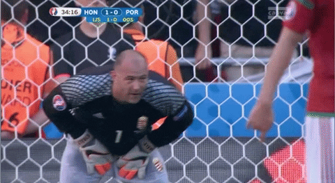 Hungary Footballer Gabor Kiraly GIF