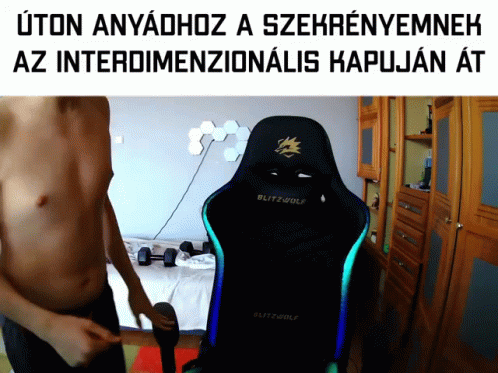 Hungary Gamer Meme GIF