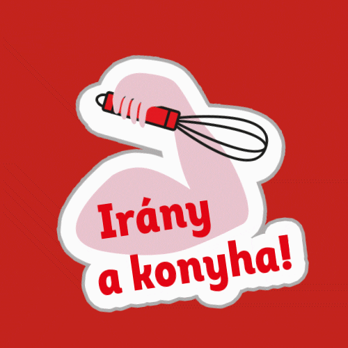 Hungary Kitchen Man GIF