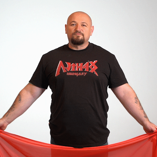 Hungary Politician Ander Balazs GIF