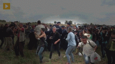 Hungary Protest Chaos GIF