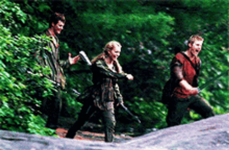 Hunger Games Forest May The Odds Be Ever In Your Favor GIF
