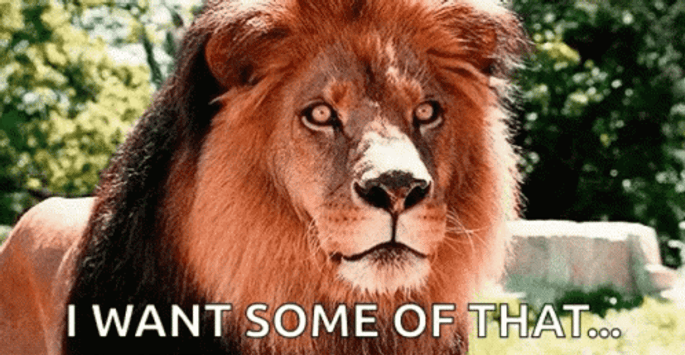 Hungry Lion Meme GIF 