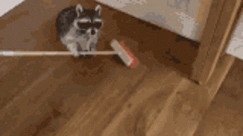 Hunter Ready To Sweep The Floor GIF