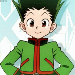 Hunter X Hunter Cheerful Gon GIF