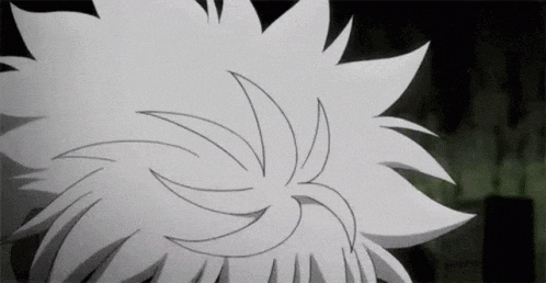 Hunter X Hunter Gif GIF