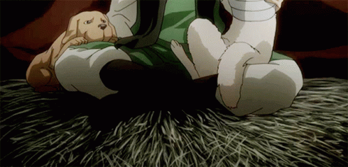 Hunter X Hunter Ging Freecss GIF