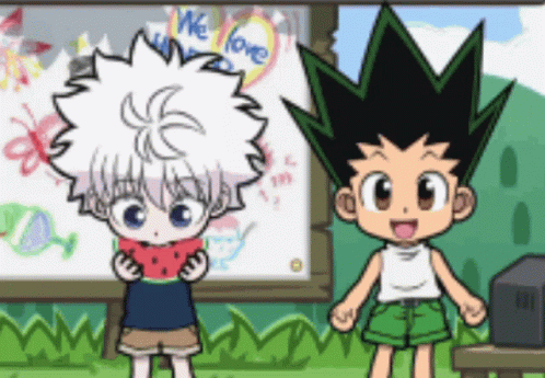 Hunter X Hunter Gon Freecss And Killua Zoldyck GIF