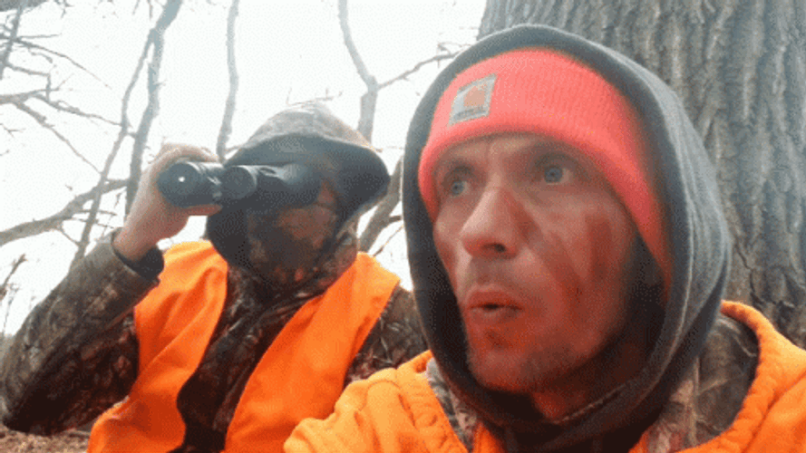 Hunting Partners Waiting For Preys GIF
