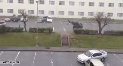 Hurricane Took The Cars Out GIF