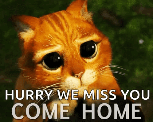 Hurry We Miss You Coming Home GIF