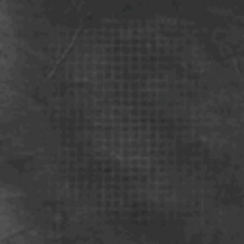 Huskers Sack Back GIF