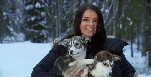 Winter Cuddles With Husky Puppies GIF