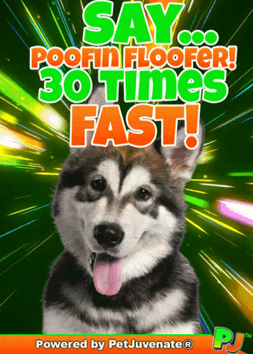 Husky Dog Say Poofin Floorer 30 Times Fast