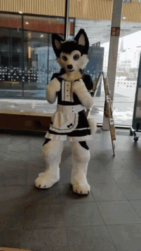 Husky Mascot Dressed as Maid