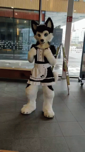 Husky Mascot Dressed as Maid