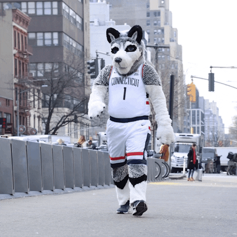 Husky Mascot Strutting Down The City Street GIF