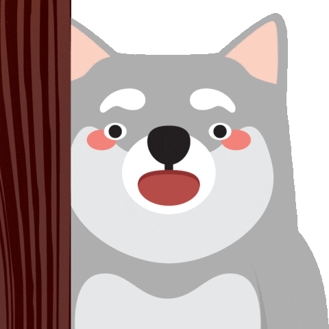 Husky Peekaboo In The Curtain GIF