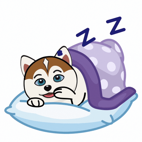 Husky Snuggled Up And Snoozing GIF