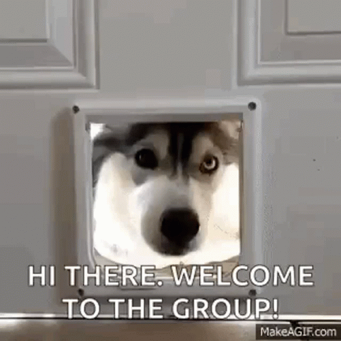 Husky Welcome To The Team Meme GIF