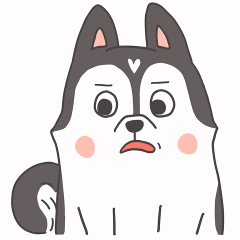 Husky With Attitude Gives Sassy Look GIF