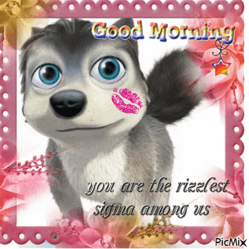 Husky With Kiss And Good Morning GIF