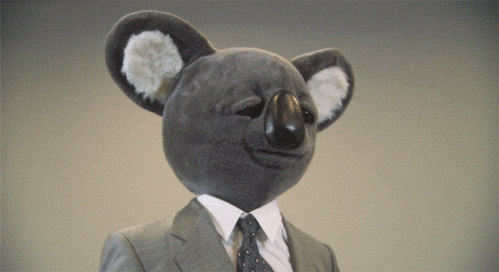 Huzzah Executive Koala Bear GIF