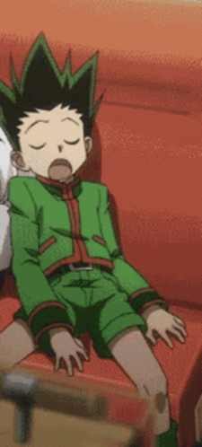 Hxh Hunter X Hunter Sleeping GIF