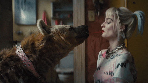 Hyena Suicide Squad GIF
