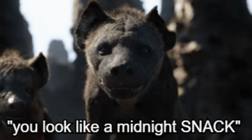 Hyena You Look Like Midnight Snacks GIF