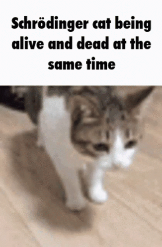 Hyper Kitty Im Alive GIF