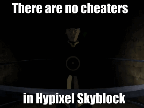 Hypixel Skyblock There Are No Cheaters GIF