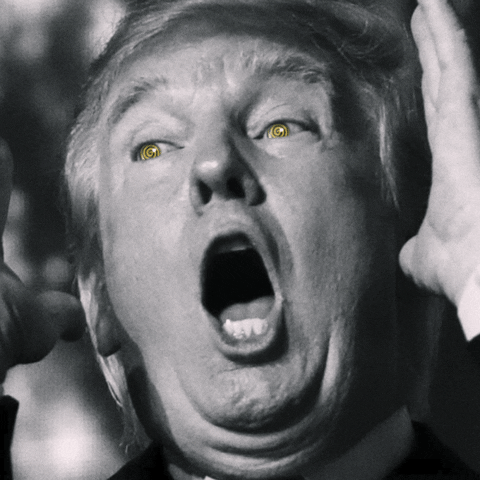 Hypno Donald Trump GIF
